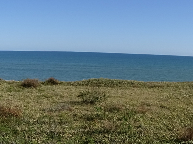 �����x�����_����̕��i_������Ӑ�����