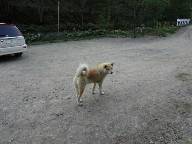 ��������_�I�\�E�V����