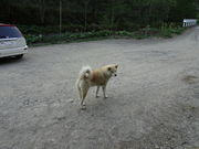 satotanãI\EV̓eʐ^3