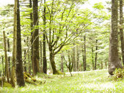 ܂񂳂̑䃖ioxj̓eʐ^1