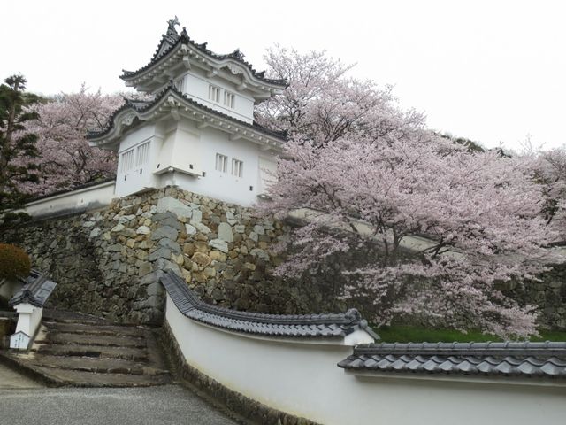 桜と城がマッチ_龍野城
