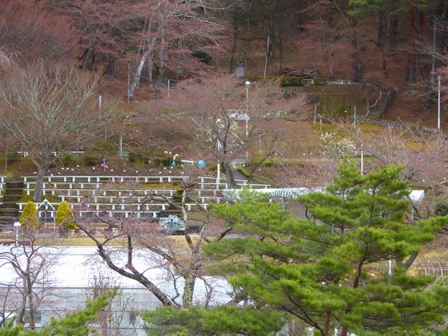 �Ԋ�����E�z�e���Ԋ�(�o�����j_�Ԋ�����@�z�e���Ԋ�