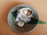 �Ղ�������̉���̓��e�ʐ^4