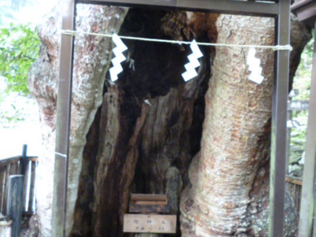 �؂̒��ɂ����ΑK��_���؎R