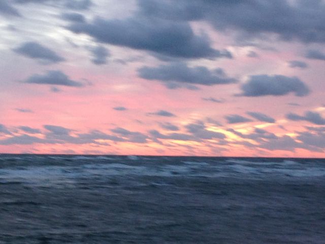 �[�Ă�_�b�R�����`����