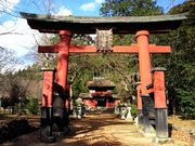 kingtut����̘h�������{���L�n�n��̓��e�ʐ^4