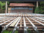 ݂񂳂̌ˑq ꗬ߂̓eʐ^1