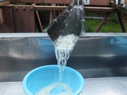 ݂񂳂̌ˑq ꗬ߂̓eʐ^2