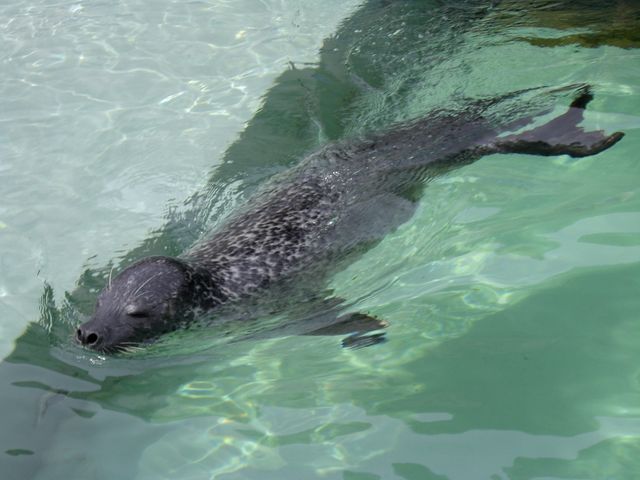 �[�j�K�^�A�U���V_���R������