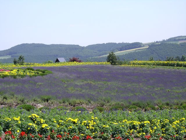 ���x���_�[�̍�_�l�G�ʂ̋u