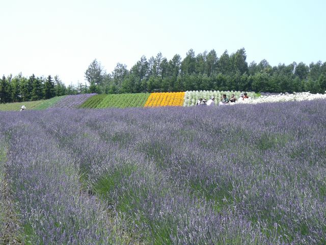 ���ߊ��������܂��B_���x���_�[��