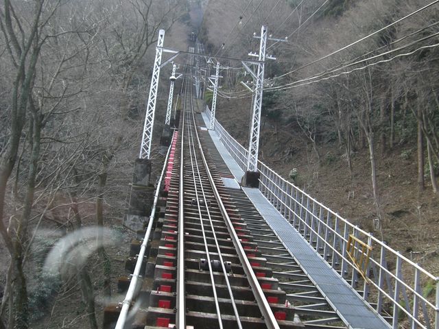 �R������_�����R�P�[�u���J�[�E��l���ό����t�g