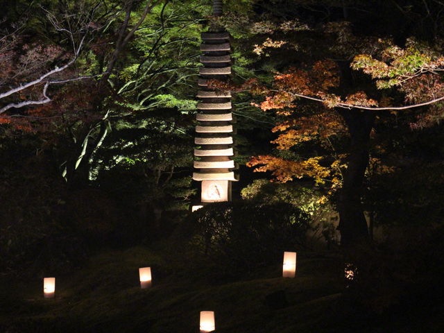 �g�t���C�g�A�b�v�B_�~�ʉ@