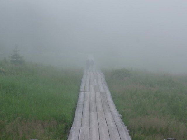 ���̒r�̕�����_�r�̕�����