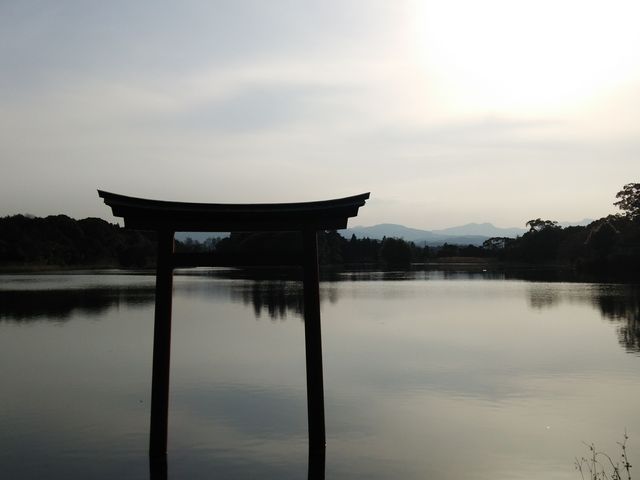 �Β��̒���_�E�_��