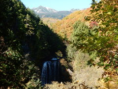 WE[̑PܘY̑ւ̓eʐ^3