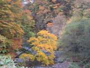 yosshỷ_΋i_Γj̓eʐ^3