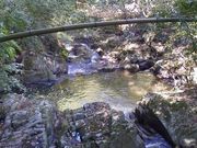 ��������̈����G���V�����̓��e�ʐ^2