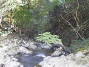 ��������̈����G���V�����̓��e�ʐ^4