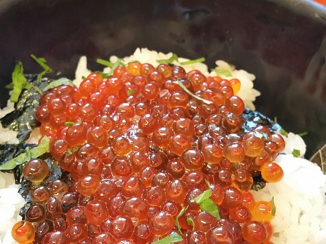 �C�N����1500�~_�T���E�t�B�b�V������