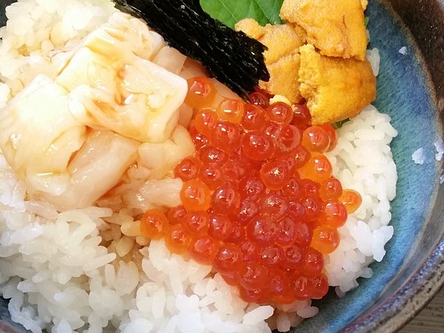 ����1600�~_�T���E�t�B�b�V������