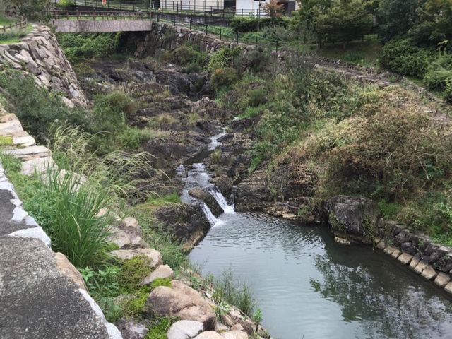 �u�̐��������_�ق��錩����