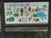 ̂Ԃ񂳂̂ق錩̓eʐ^3