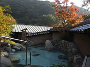 LOTTY����̔��{�w����i���{�w�@���̊ہj�̓��e�ʐ^1