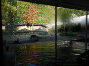 LOTTY����̔��{�w����i���{�w�@���̊ہj�̓��e�ʐ^2