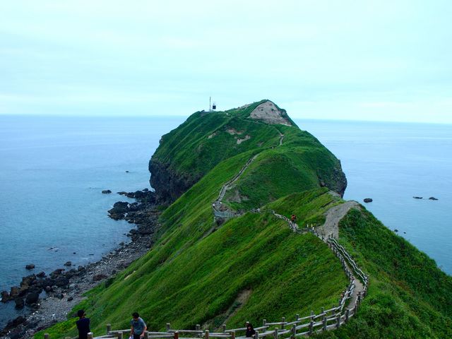 �_�Ж��̎ʐ^�ł��B_�_�Ж�