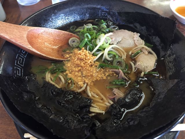 [E538~B}[ɗޗLCۂ܁[B_[