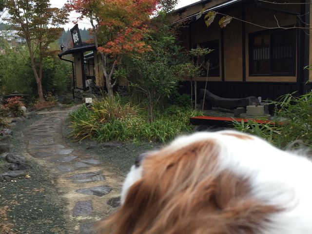 ROK̃|CgBʕłB_n삻Ώ 󏈎O