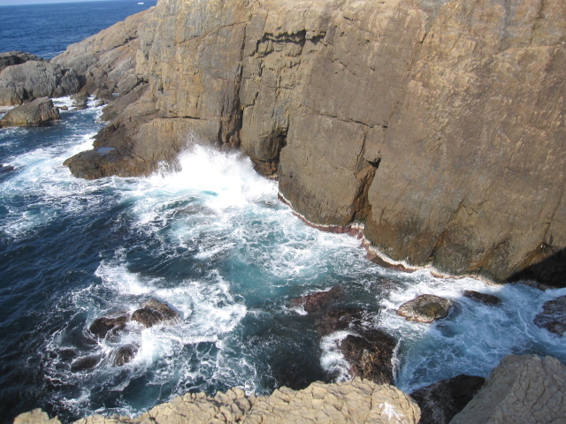 �؂藧�����R1�B_�����C��