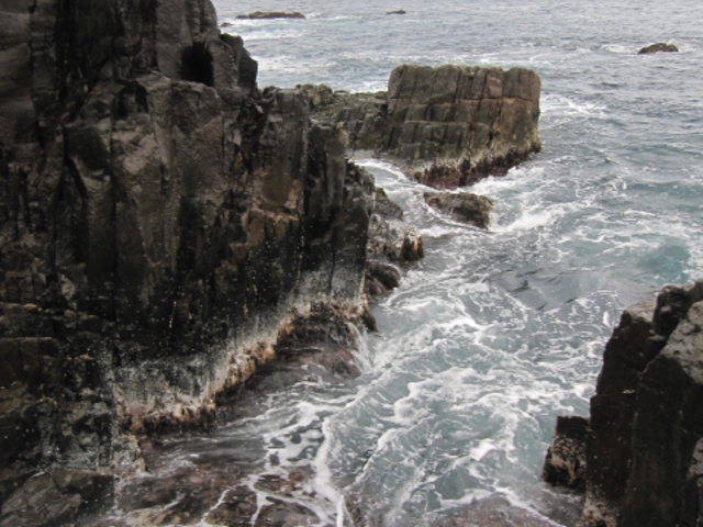 �R�֑ł��t����g�B_�����C��