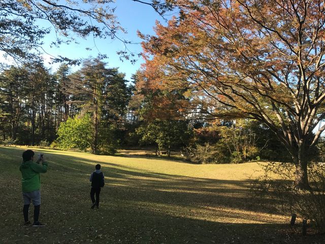 広場_仙台市野草園