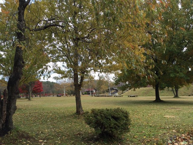 �X_�Ȃ̐_�L��L�����v��