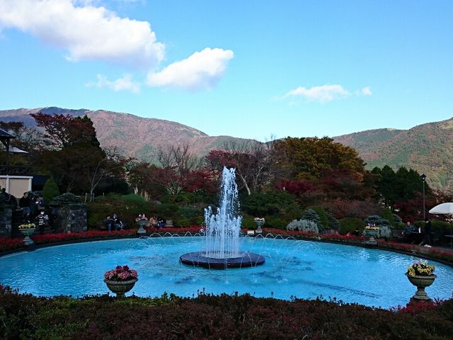 ����_������������