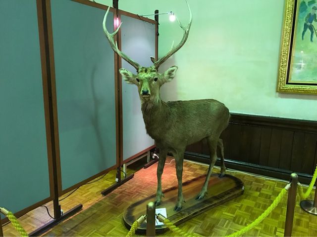 �k�C�������{����(�Ԃ�񂪒���)