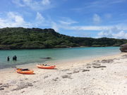 ܂񂳂̃CM[}K[f̓eʐ^1