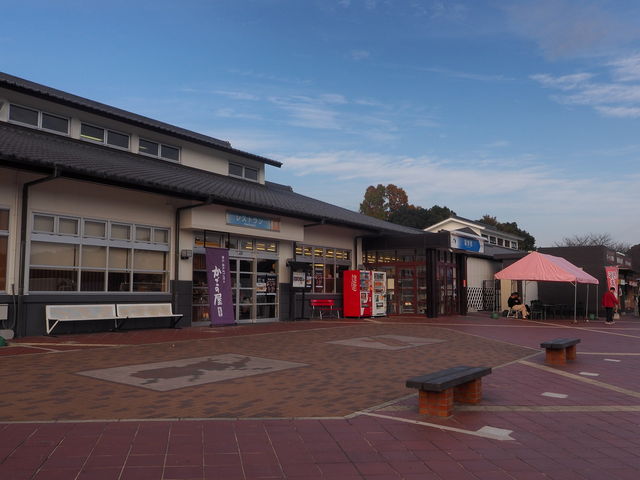 ���쐼SA(���)_���쐼�T�[�r�X�G���A�i�����j