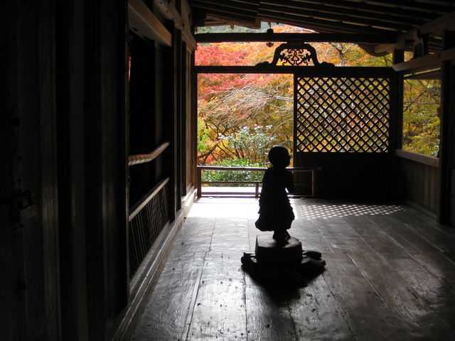 ���炵���P�����q�B_���R�����E����̔���