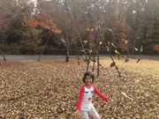 neko܂̌jEGlXp[N̓eʐ^1