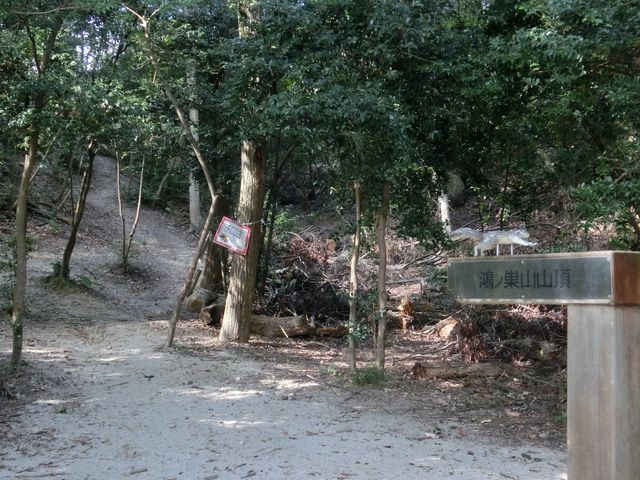 ܂܂ς񂾂̍mR̓eʐ^2