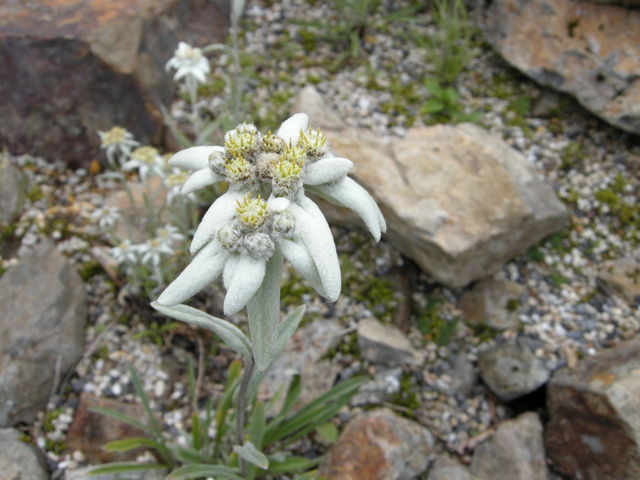 񂳂̔nܗRAEGXJvU̓eʐ^1