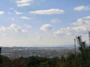 ܂܂ς񂾂̍mR̓eʐ^1