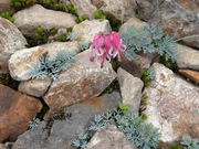 񂳂̔nܗRAEGXJvU̓eʐ^2