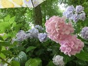 ܂܂ς񂾂̂܈̓eʐ^2