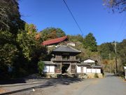 }Cann̒DO\Ԗ@iʎႨMωj̓eʐ^1