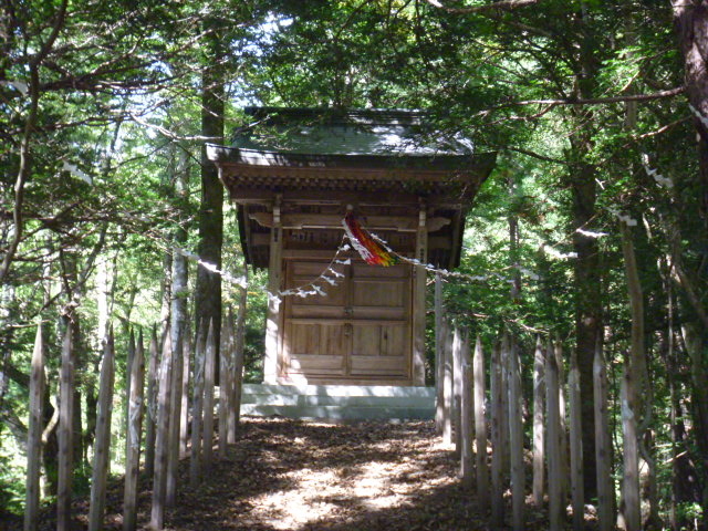 gV[̓aR_(쉷)̓eʐ^1