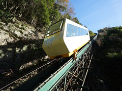 Ƃ񂳂̘ȁhze@cJւ̓eʐ^1